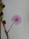 DSCN3771.JPG