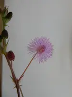 DSCN3771.webp