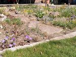 IMG_20220416_131849.jpg