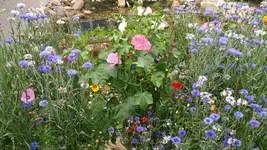 20190709_195641.webp