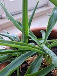 20220412_085621.jpg