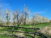 IMG-20220416-WA0014.webp