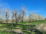 IMG-20220416-WA0014.jpg