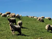 IMG-20220416-WA0018.webp