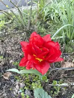 7B6FAB60-0ED9-4CEC-A08D-67C152646005.webp
