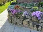 IMG_20220418_150455.jpg