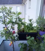 IMG_20220418_180929_466.webp