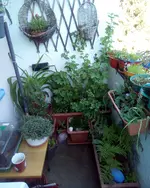 IMG_20220418_180839_023.webp