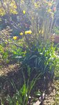 20220418_165348.jpg
