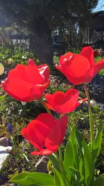 20220418_165027.webp