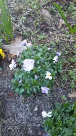 20220417_144021.webp