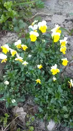 20220417_143958.webp