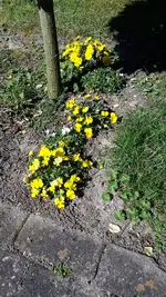 20220417_143711.webp