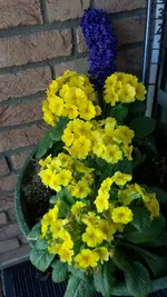 20220417_124914.webp