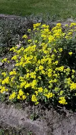 20220417_123247.webp