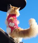 20220418_175507.jpg