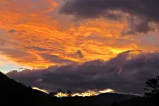 IMG_7334v (2).webp