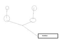 rfgrtrtrt.webp