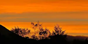 IMG_7092 v (2).webp
