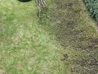 20220420_135524.webp