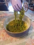 IMG_20220420_181833.jpg