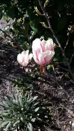 20220417_123333.webp