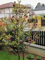 IMG_20220422_093145.webp