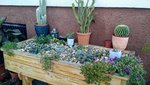 IMG_20180929_164544679.jpg