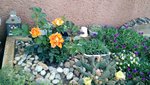 IMG_20190603_181534038.jpg
