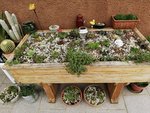 IMG_20200708_194625.jpg