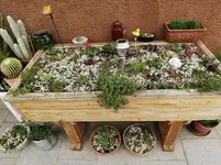 IMG_20200708_194625.jpg
