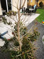 IMG_20220422_191153.webp