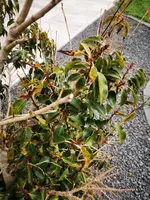 IMG_20220422_191200.webp