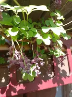 IMG_20220422_161438.jpg