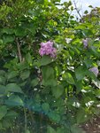 IMG_20220423_102858.jpg
