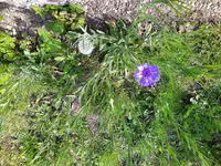 IMG_20220423_102746.jpg