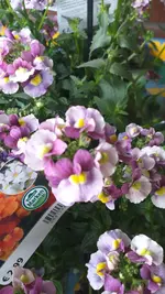 20220423_102537.webp