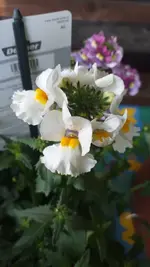 20220423_102544.webp