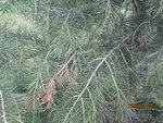 IMG_4465.JPG