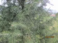 IMG_4466.webp