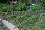 April  0222.JPG