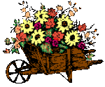 47.gif