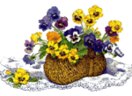 004.gif