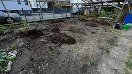 2022-04-24 11_21_12-2022-04-24 11_06_03-Fotos.jpg