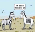 1650799411323.png