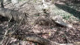 20220423_143552.webp