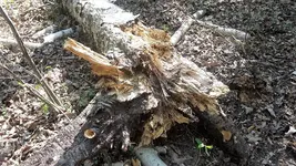 20220423_143832.webp