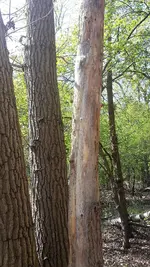 20220423_143103.webp