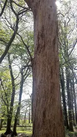 20220423_143227.webp
