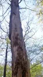 20220423_143419.webp